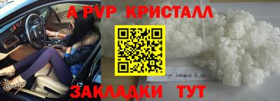 шишки Аргун