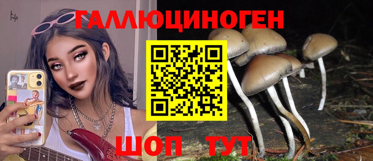 Псилоцибиновые грибы мицелий  Вход с VPN  где можно купить наркотик  Псилоцибиновые грибы Cubensis  Сосновый Бор 
