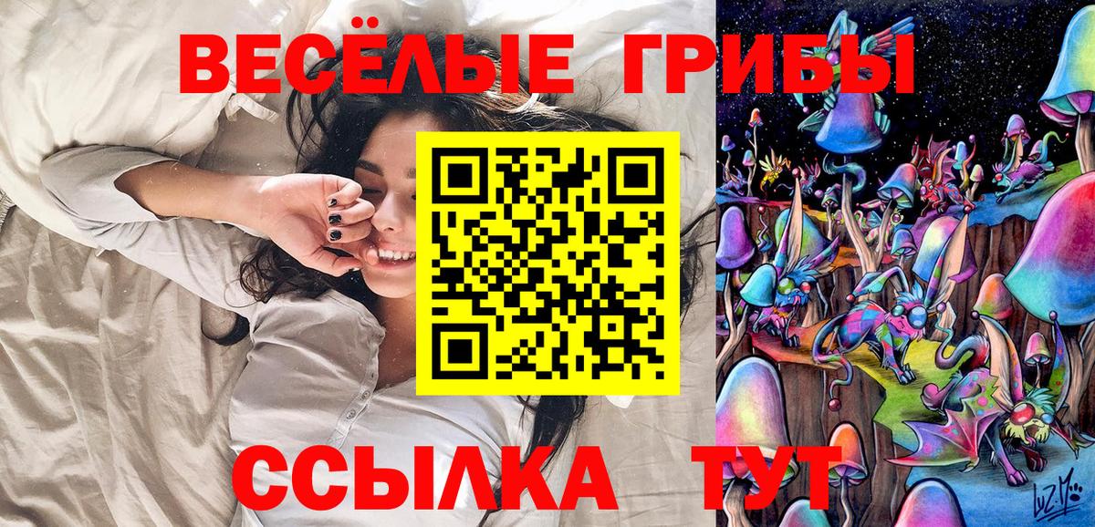Галлюциногенные грибы GOLDEN TEACHER Сосновый Бор